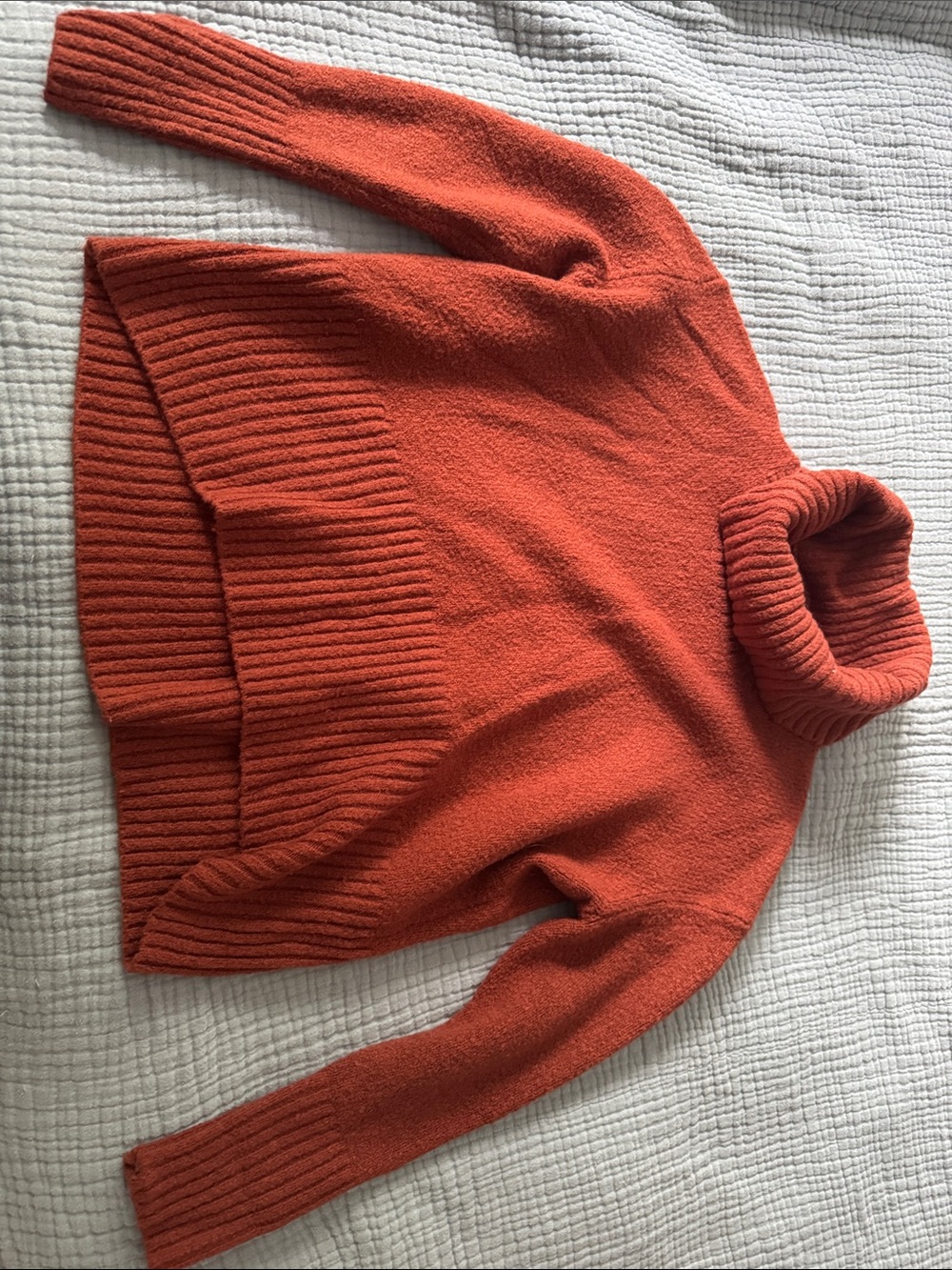 Rachel Zoe Ribbed Hem Turtleneck Sweater in Burnt Orange